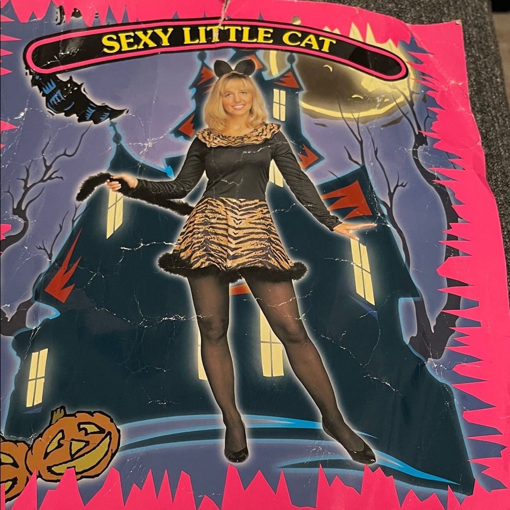 California Costumes Sexy Little Cat Costume